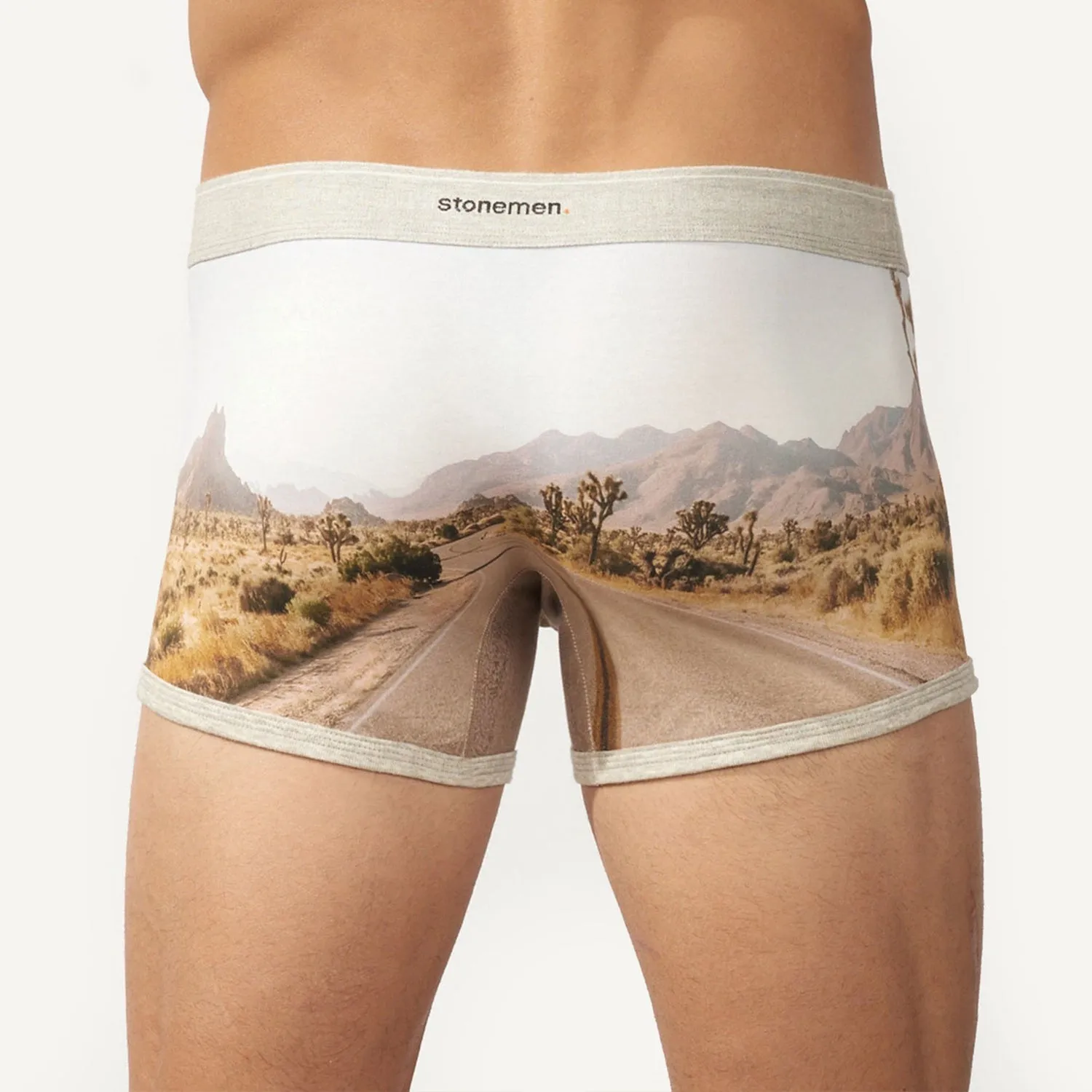 Boxer Brief - Joshua Tree