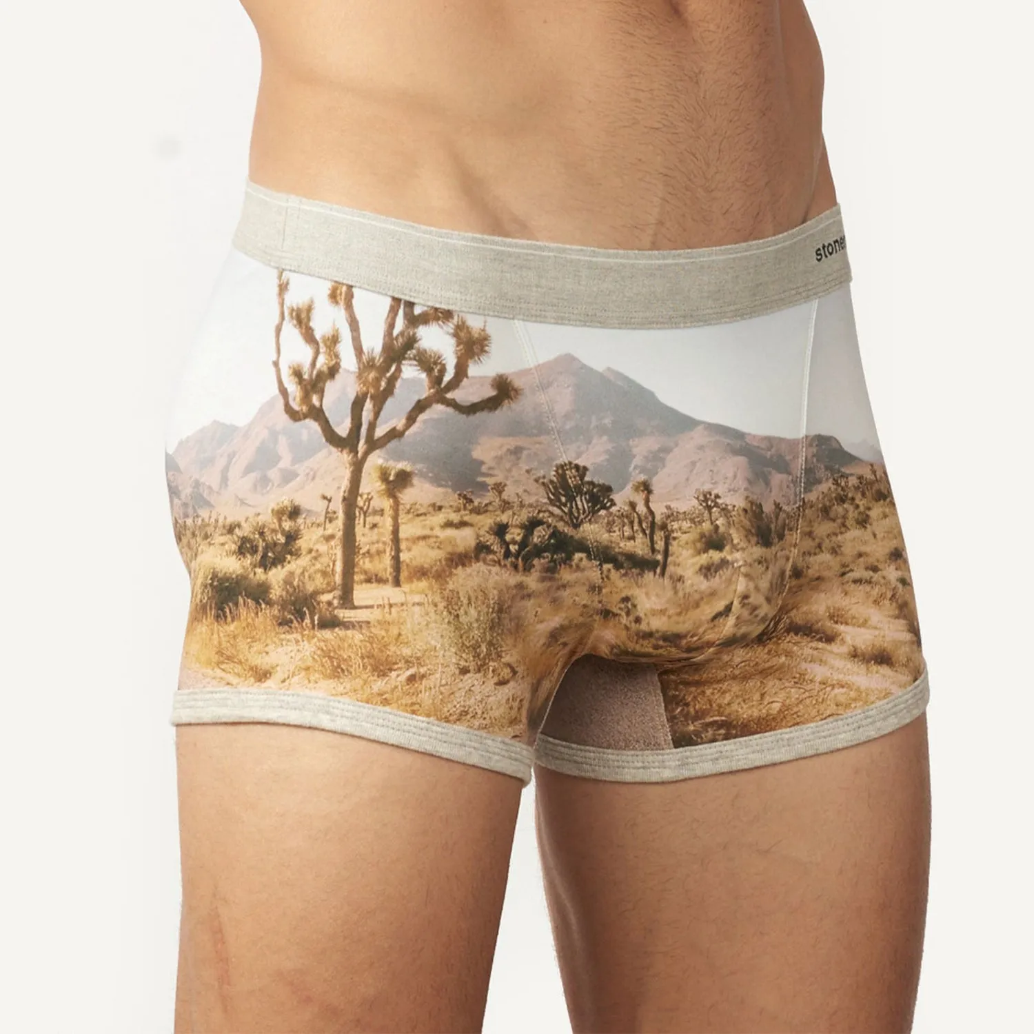 Boxer Brief - Joshua Tree