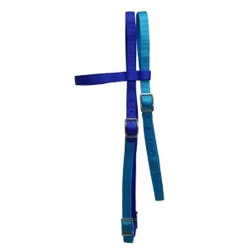 Fort Worth Nylon Headstall 6/8 - Aqua & Blue