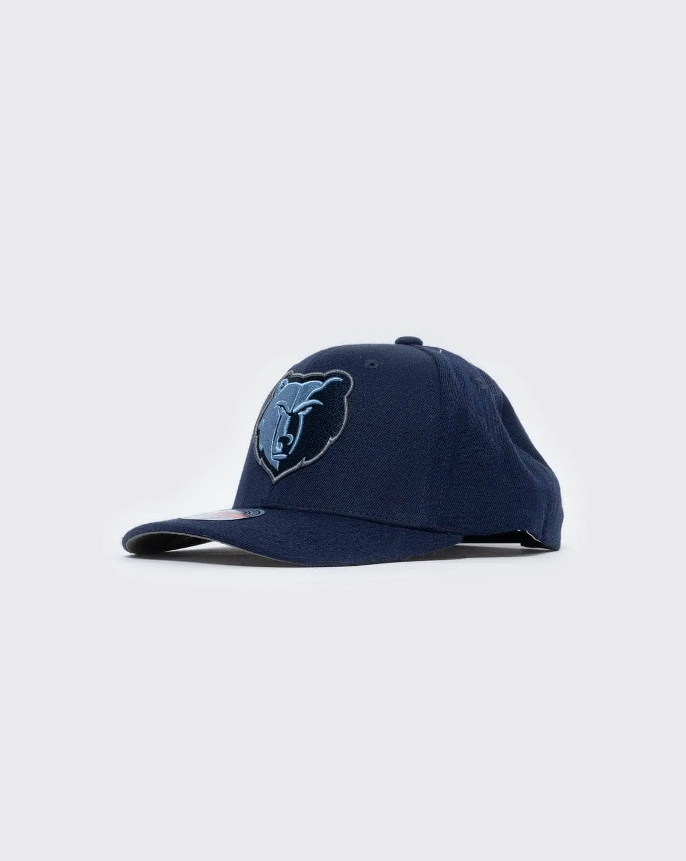 Mitchell and ness grizzlies team ground