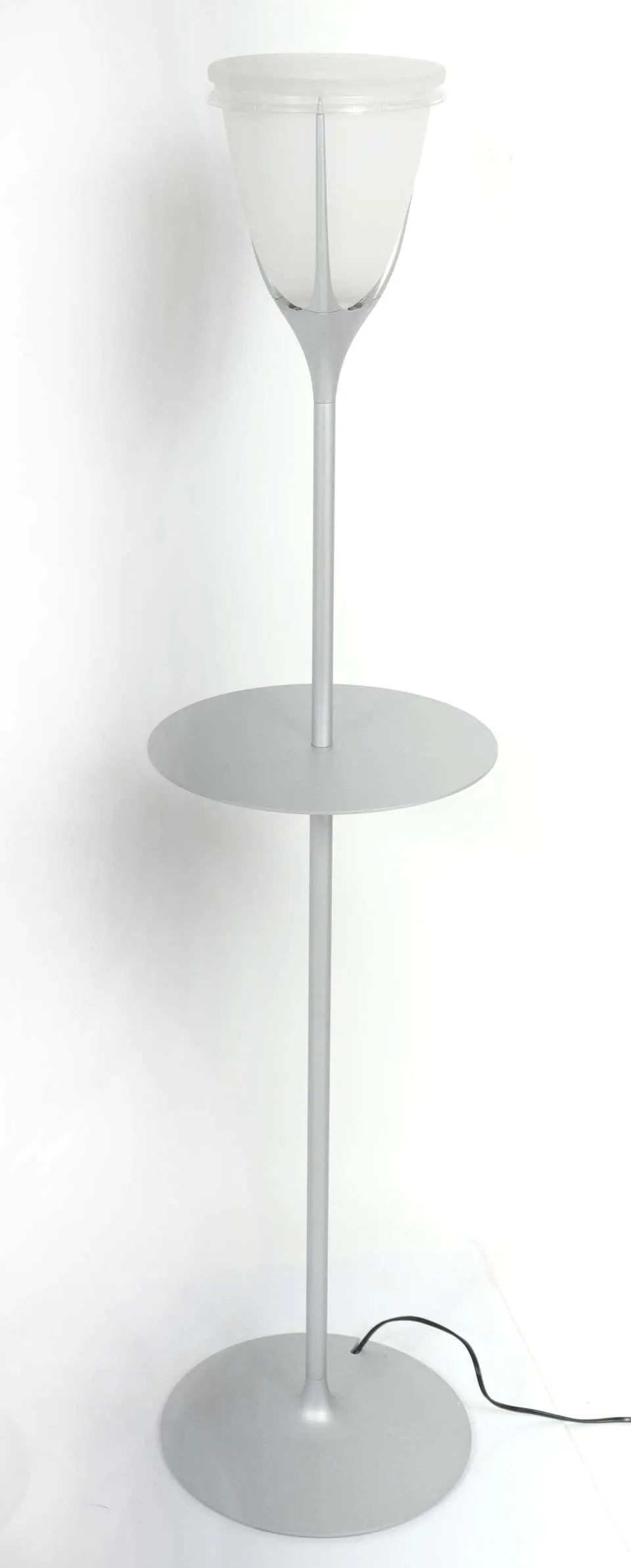 Modern Metal and Frosted Glass Floor Lamps